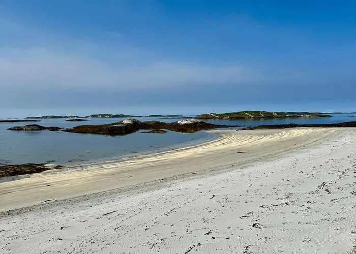 Amazing Seaview - Bodø